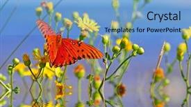  Presentation with high level - Amazing PPT theme having high level lake with flowers backdrop and a light blue colored foreground