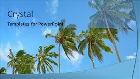 Presentation with sky blue - Amazing PPT theme having high-palm-on-background backdrop and a light blue colored foreground