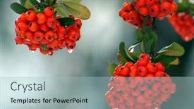  Presentation with high quality - Beautiful slide deck featuring high quality digital media asset backdrop and a light blue colored foreground