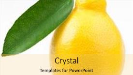  Presentation with lemons - Amazing slide set having high-quality photo ripe lemons on a white background backdrop and a yellow colored foreground