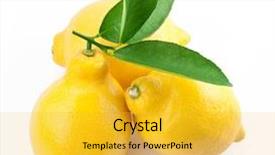  Presentation with lemons - Amazing PPT theme having high-quality photo ripe lemons on a white background backdrop and a yellow colored foreground