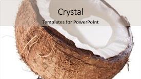  Presentation with cost poor quality - Colorful presentation design enhanced with high-quality photos of coconuts backdrop and a mint green colored foreground