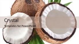  Presentation with high quality - Amazing PPT layouts having high-quality photos of coconuts backdrop and a coral colored foreground