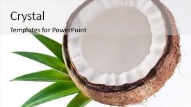  Presentation with comprehensive quality management - PPT theme with high-quality photos of coconuts background and a light gray colored foreground