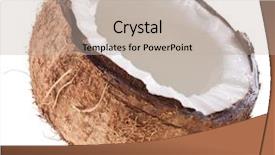  Presentation with quality verse quantity - Colorful presentation theme enhanced with high-quality photos of coconuts backdrop and a mint green colored foreground