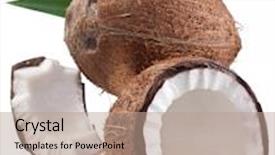  Presentation with high quality - Slides having high-quality photos of coconuts on a white background background and a coral colored foreground