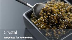  Presentation with sturgeon - Theme having high quality real natural sturgeon black caviar close-up delicatessen texture of expensive luxury fresh caviar square dish on black diet dieting background and a gray colored foreground