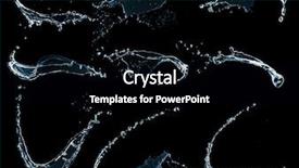  Presentation with water splash on black - Presentation featuring beautiful black cat sitting in front of a window with red roses on the background background and a dark gray colored foreground