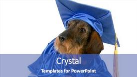  Presentation with training - Audience pleasing PPT layouts consisting of high school graduation party - dog obedience training backdrop and a teal colored foreground