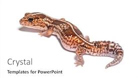  Presentation with african american high school - PPT theme having high-view-and-rear-view background and a white colored foreground