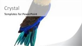  Presentation with blue - Presentation featuring high-view-of-a-blue background and a white colored foreground