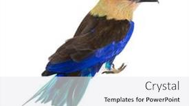  Presentation with blue - Slides having high-view-of-a-blue background and a  colored foreground