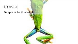  Presentation with frog - Slides having high-view-of-a-red background and a white colored foreground