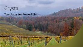  Presentation with vineyards - Presentation theme consisting of highest-vineyards-in-austria-near background and a light blue colored foreground