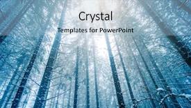  Presentation with pine trees - Cool new slide deck with hight fir trees under covered backdrop and a light blue colored foreground