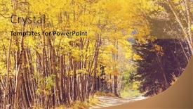  Presentation with rainy day - PPT theme enhanced with highway-in-autumn-forest background and a gold colored foreground