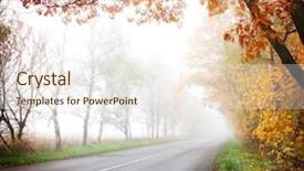  Presentation with fog - Slide set with two specialty bagels are a short stack on plate in horizontal image types are onion and everything and make for a tasty choice background and a soft green colored foreground