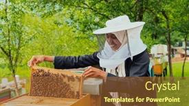  Presentation with honey bee - PPT theme having hijab-arabian-woman-checking background and a red colored foreground