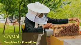  Presentation with honey bee - Slide set having hijab-arabian-woman-checking background and a tawny brown colored foreground