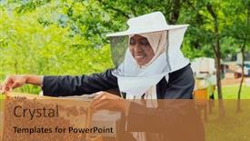  Presentation with honey bee - Theme enhanced with hijab-arabian-woman-checking background and a coral colored foreground