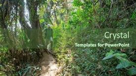  Presentation with jungle - PPT theme having hike-in-jungle background and a tawny brown colored foreground