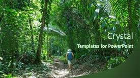 Presentation with jungle - PPT theme having hike-in-jungle background and a forest green colored foreground
