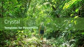  Presentation with jungle - Presentation theme enhanced with hike-in-jungle background and a tawny brown colored foreground