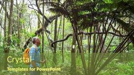  Presentation with hawaii - Colorful presentation theme enhanced with hike-in-jungleon-hawaii-island backdrop and a tawny brown colored foreground