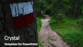  Presentation with trail - Colorful PPT layouts enhanced with wooden table with technical backdrop and a cream colored foreground.