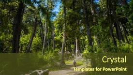  Presentation with forest - Audience pleasing presentation design consisting of hiker-walks-through-the-green backdrop and a tawny brown colored foreground