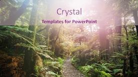  Presentation with adventure - Amazing PPT layouts having hiking-and-tramping-in-new backdrop and a lemonade colored foreground