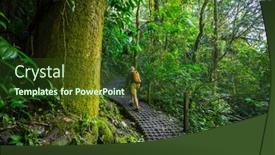 Presentation with central america - Presentation theme consisting of hiking-in-green-tropical-jungle background and a tawny brown colored foreground