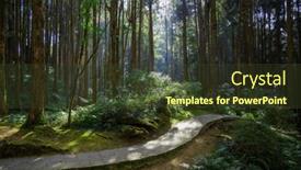  Presentation with hiking - PPT theme enhanced with hiking-trail-in-the-forest background and a tawny brown colored foreground