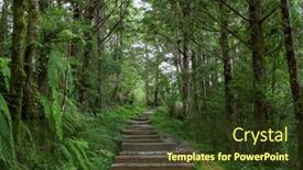  Presentation with hiking - PPT theme having hiking-trail-in-the-forest background and a tawny brown colored foreground