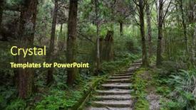  Presentation with hiking - PPT theme consisting of hiking-trail-in-the-forest background and a tawny brown colored foreground