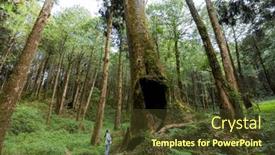  Presentation with hiking - Slide deck with hiking-woman-go-to-visit background and a tawny brown colored foreground