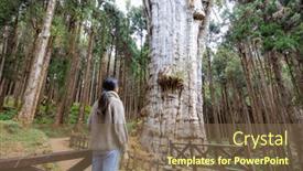  Presentation with hiking - Slide set having hiking-woman-visit-the-giant background and a violet colored foreground
