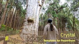  Presentation with hiking - Presentation theme with hiking-woman-visit-the-giant background and a violet colored foreground