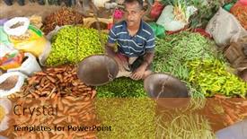  Presentation with alive - 