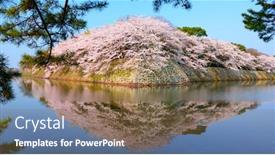 Presentation with japan castle - Colorful presentation theme enhanced with hikone-japan-at-the-castle backdrop and a coral colored foreground