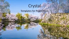  Presentation with japan castle - PPT theme with hikone japan at the castle moat during spring season background and a light blue colored foreground