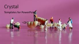  Presentation with office workers - Presentation theme with hilarious miniature workers performing dental background and a coral colored foreground