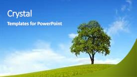  Presentation with single tree - Cool new slides with hill and blue sky backdrop and a teal colored foreground