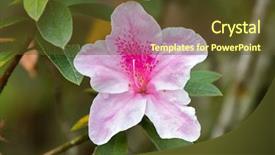  Presentation with south asia - Presentation theme with hill malaysia south east asia background and a tawny brown colored foreground