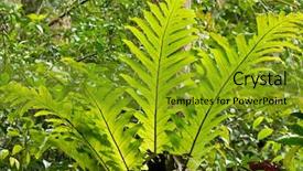  Presentation with south asia - Slides with hill malaysia south east asia background and a gold colored foreground