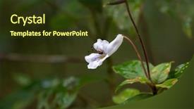  Presentation with south asia - Amazing PPT layouts having hill malaysia south east asia backdrop and a tawny brown colored foreground