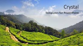  Presentation with tea plantation - Presentation design enhanced with hill station - mountain tea plantation in munnar background and a light blue colored foreground