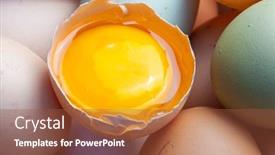  Presentation with farm - Slide deck consisting of hillbilly-egg-yolk-from-organic background and a red colored foreground