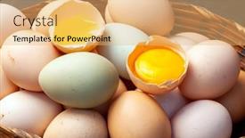  Presentation with egg - Beautiful theme featuring hillbilly-egg-yolk-from-organic backdrop and a yellow colored foreground