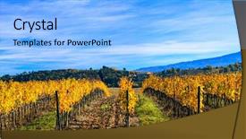  Presentation with rolling hills - PPT layouts consisting of hills and wineyards in autum background and a light blue colored foreground